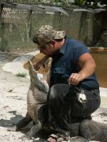 gator show 2